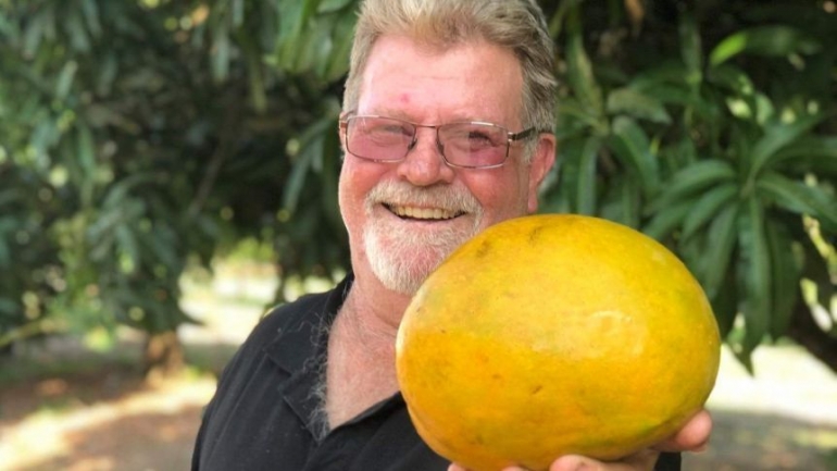 Petani mangga di salah satu perkebunan di wilayah Utara Australia. Photo: Australian Mangoes