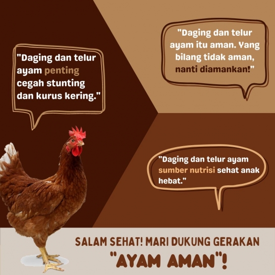 Daging dan Telur Ayam Penting Cegah Stunting, Yuk Dukung "Ayam Aman