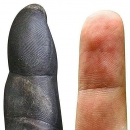 Ilustrasi sidik jari pada primata/kiri dan manusia/kanan (Foto: Pak Rusyad)