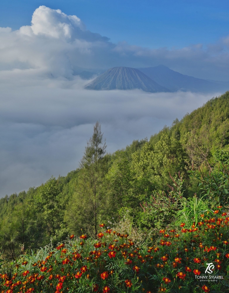 Gak dapat sunrise, jadi fotoin ini saja. Sumber: koleksi pribadi