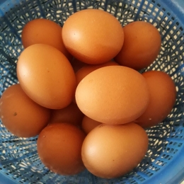 persediaan telur di rumah/sumber : dok.pri