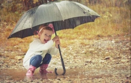 Ilustrasi daleman sebagai penangkal hujan (sumber: indiamart.com)