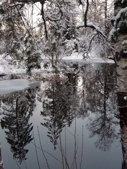 Bagaikan siluet bercermin salju tumpah cahaya terang (Kredit foto: VR) 