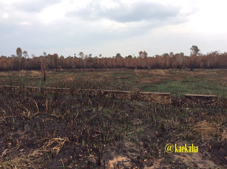 Fakta Deforestasi di Indonesia | @kaekaha