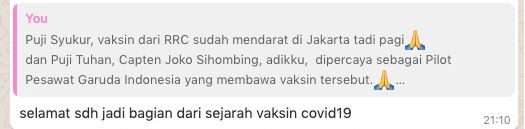 komentar dari WAG Mercy Sihombing | dokpri