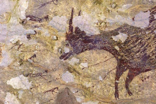 Lukisan gua yang ditemukan di Sulawesi ini berusia 44.000 tahun. Sumber:Reuters: Indonesia's National Research Centre for Archaeology/Griffith University