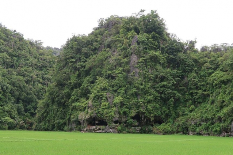Pintu masuk Gua Leang Tedongnge.Photo: AA Oktaviana)
