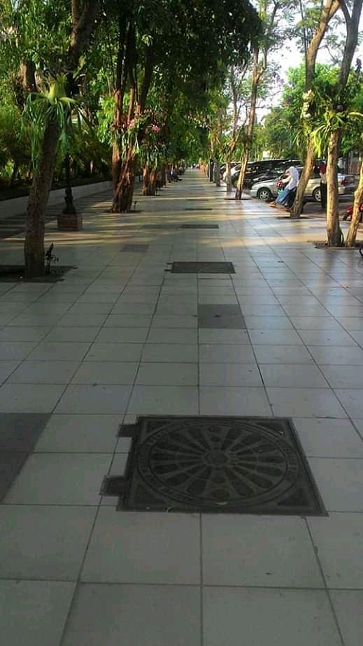 Dokpri, Anggrek di Taman Balai Kota.