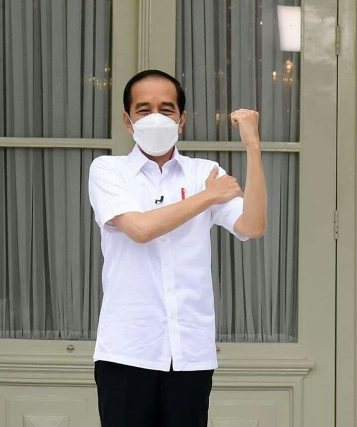 Presiden Jokowi (dok.infopresiden.com)