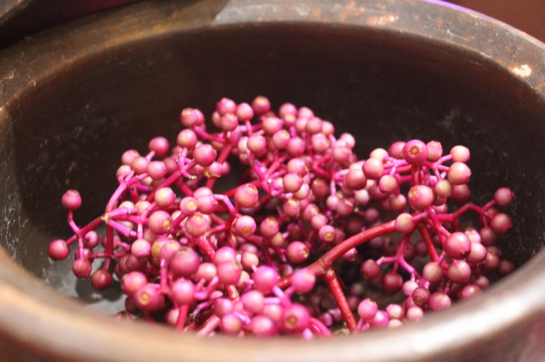 Buah Parijoto yang sepat (foto: ko in)