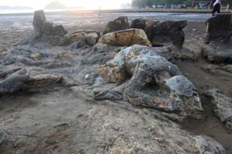 Foto Batu Malin Kundang karya Roderick Adrian Mozes dari kompas.com