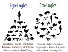 Ilustrasi perbedaan egologis dan ekologis. sumber fot0 : dreamstme.co