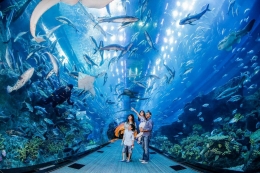 Dubai Aquarium Tunnel (Photo by Dubai Mall)