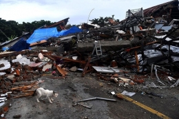 Reruntuhan bangunan akibat gempa di Mamuju- Sulawesi Barat/16/1/2021 (sumber gambar: https://nasional.kompas.com/)