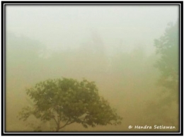 Kabut pagi hari setelah semalam hujan turun (foto: dok. pribadi)