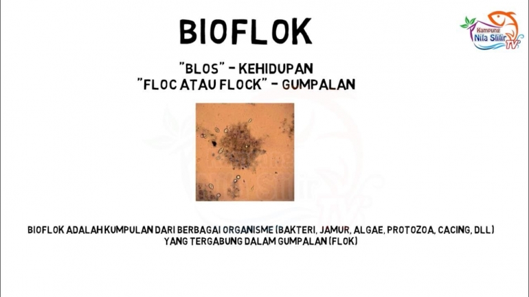 BIOFLOK 6 (Dokpri)