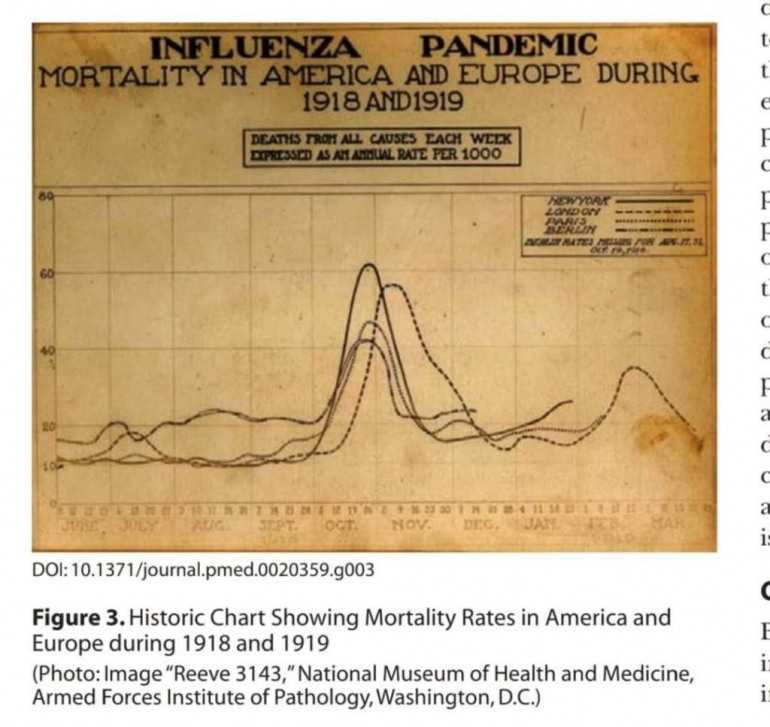 Angka Kematian akibat Pandemi Flu di Amerika dan Eropa tahun 1918