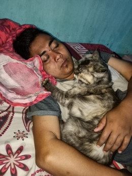 Foto kucing sedang tidur bersama suaminya Hestin H (dokpri)
