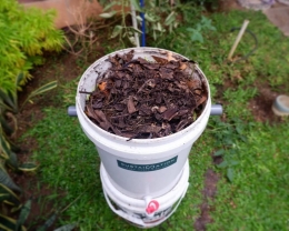 Compost bin (Dokumentasi pribadi)
