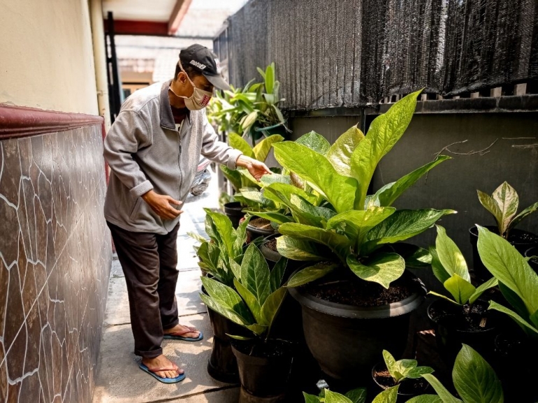 Berkebun (Foto = Mawan Sidarta)