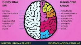 Posisi otak yang dibedakan antara kanan dan kiri (Foto: pelajaran.co.id)