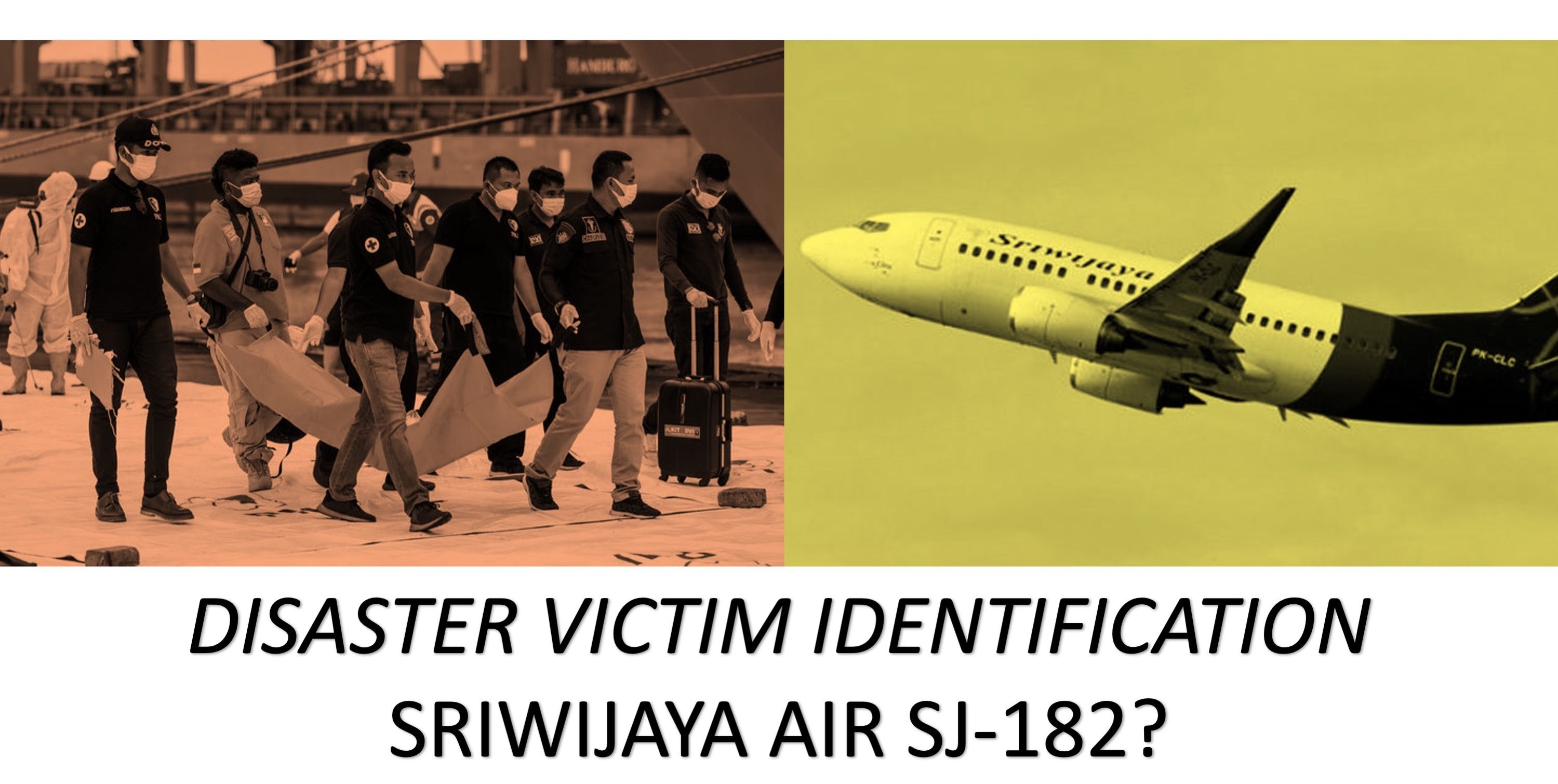 Apa Itu Disaster Victim Identification (DVI)? Halaman 1 - Kompasiana.com