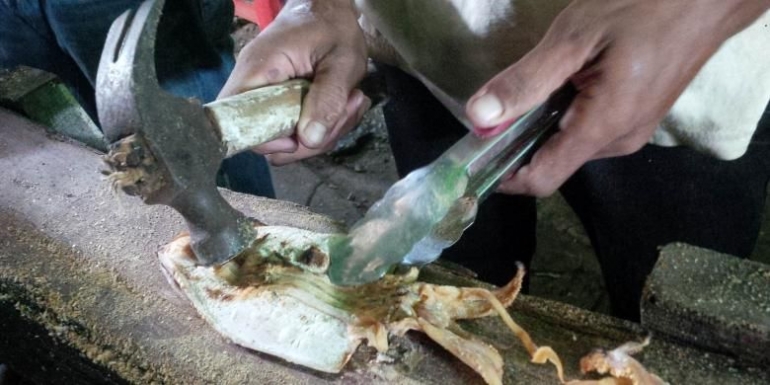 Sotong yang sudah dipanggang, dipukul dengan palu | Foto diambil dari Kompas/ Yohanes Kurnia Irawan