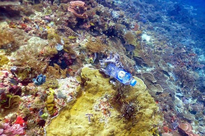 Gambar 2. Terumbu Karang yang Tercemar Sampah Plastik (sumber: serikatnews.com)