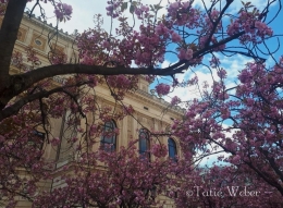 Alte Oper di musim semi - foto: TatieWeber/ koleksi HennieTriana