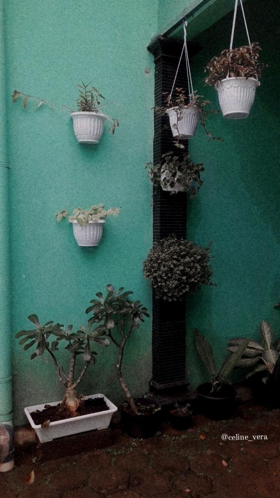 Vertical Garden