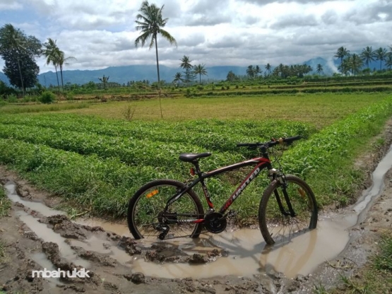 Tak ada jalan lain. Dokpri