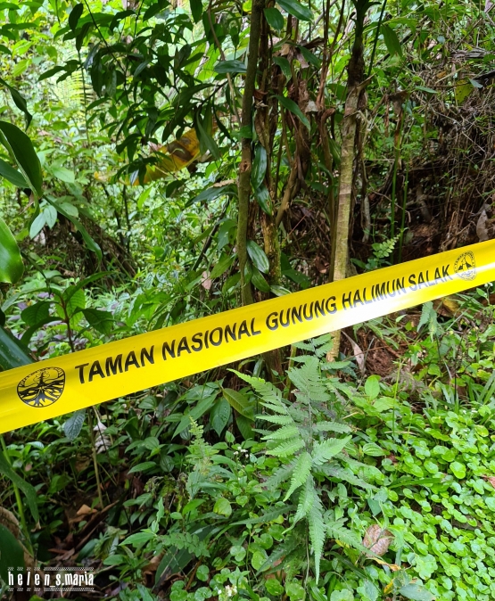 Curug Kiara, Curug Batu Ampar, dan Curug Ciparay | dokpri