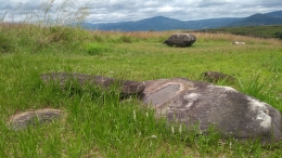 Hamparan batu-batu dalam Situs Megalitik Watunongko di tengah padang ilalang lembah Napu, Sulawesi Tengah (foto: Hanom Bashari)