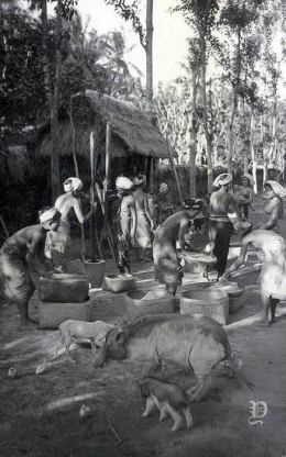 Pinterest Menumbuk padi di Bali, 1920-1935 | Foto langka, Fotografi, Sejarah