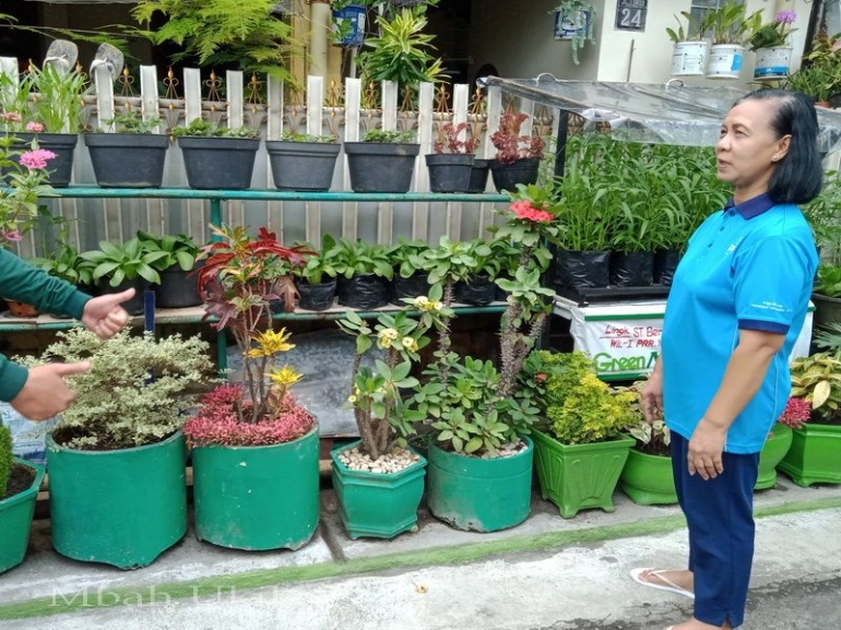 Ibu Nugroho dan Bpk Nugroho (tidak kelihatan) bercocok tanam bukan hanya bunga tetapi juga sayur mayur. Dokumen pribadi