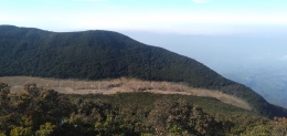 Alun-alun suryakancana dilihat dari puncak Gunung Gede (Nurjaman)