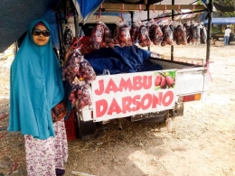 Berburu Jambu Darsono (dok. Mawan Sidarta) 