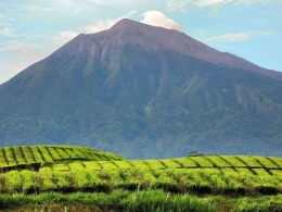 Gunung Kerinci/Foto Fatmi Sunarya