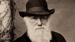 Charles Darwin (Sumber: https://www.bbc.com/news/entertainment-arts-55044129)
