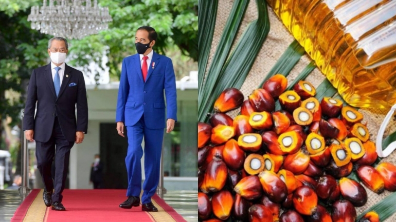 PM Malaysia Muhyiddin Yassin (kiri), Presiden Joko Widodo (tengah), dan ilustrasi kelapa sawit (kanan) | Gambar: Kolase (Facebook dan IDN Times)