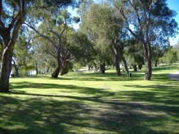   wikipedia.org | Taman Nasional Yanchep, Perth, Western Australia .....