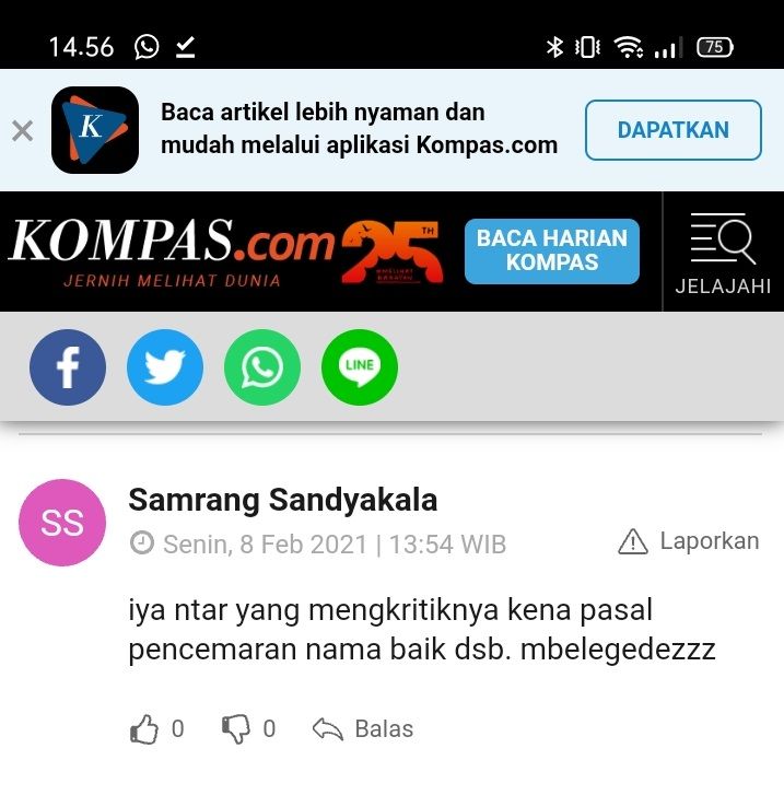 Tangkapan layar komentar warganet di laman kompas.com (dokumen pribadi)