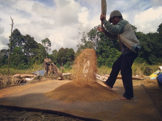 Prosesi foto sedang Nigaa'k