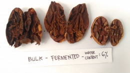 Biji kakao fermentasi sempurna (Dok. Pribadi, 2019)