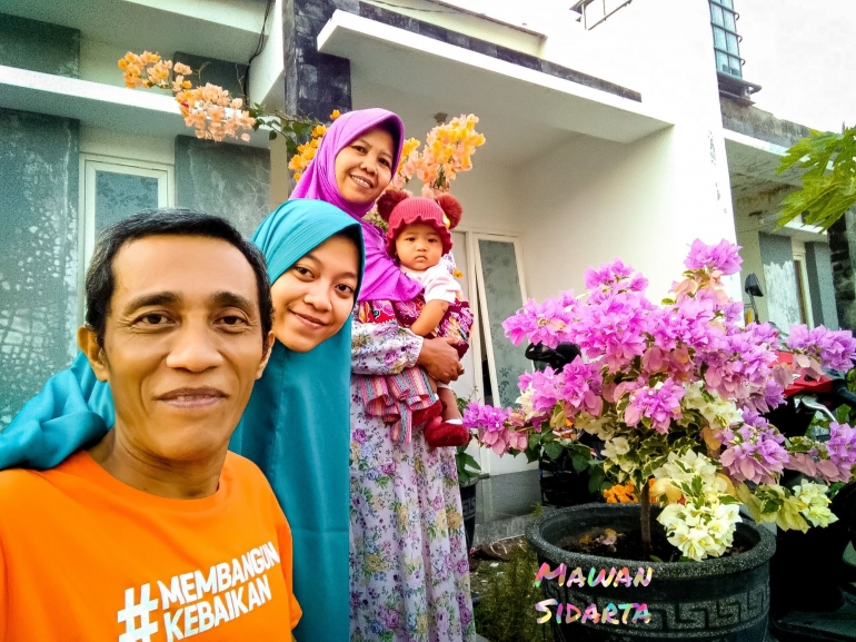 Bugenvil lambang kasih (dok. Mawan Sidarta)
