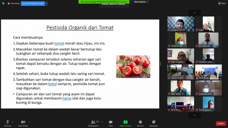 Pestisida Organik dari Tomat (Screenshot Zoom/dokumen pribadi)