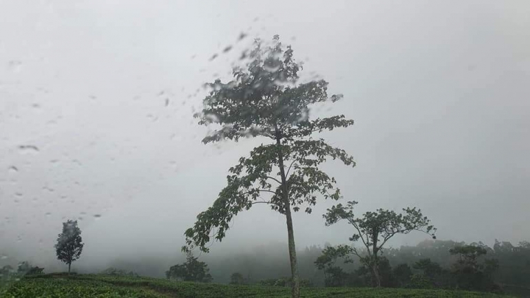 Kabut pagi dalam perjalanan menuju curug (Foto : koleksi pribadi)