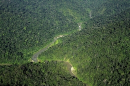 Taman Nasional Gunung Leuser (Sumber: https://id.wikipedia.org)