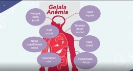 Deskripsi : Gejala Anemia I Sumber Foto : Presentasi Dr.Diana Sukardi