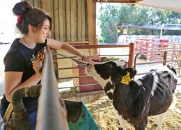 Perempuan peternak yang telaten mengurus ternaknya (Foto: davisenterprise.com)
